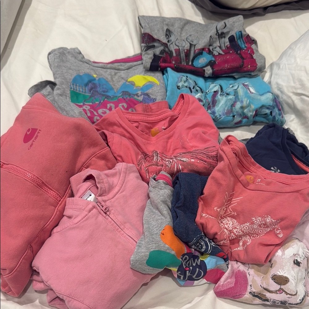 Carhartt bundle! All 2/3T, all some small stains & wear, but lots of life left!